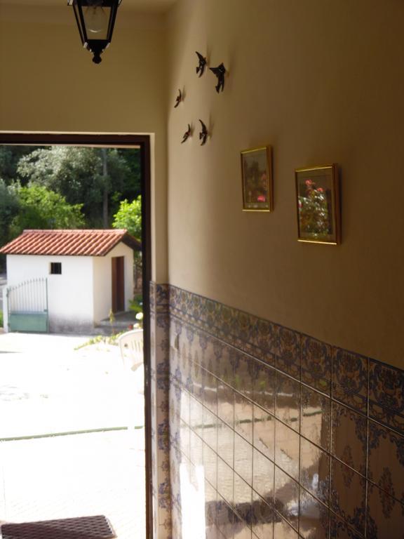 Holiday Home Mortagua Vila Boa  Ngoại thất bức ảnh